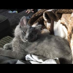 Meet your Posher, Natalie